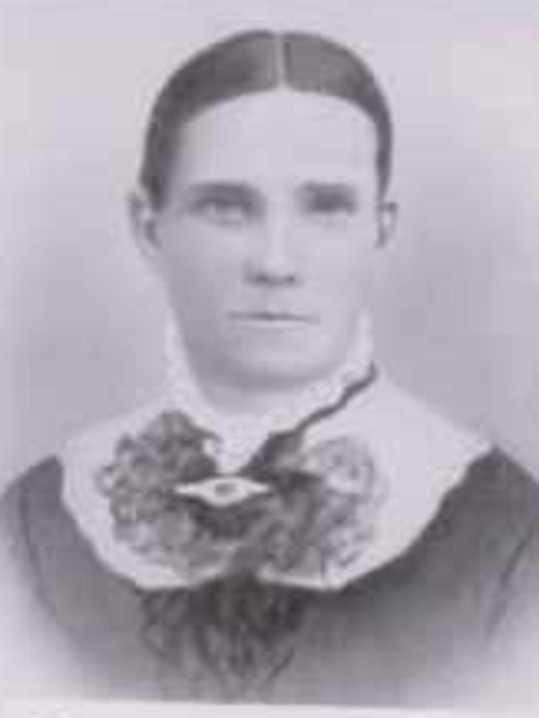 Sarah Elizabeth Jones (1835 - 1917) Profile